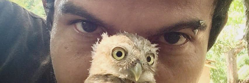 raulkabrioz's profile banner image