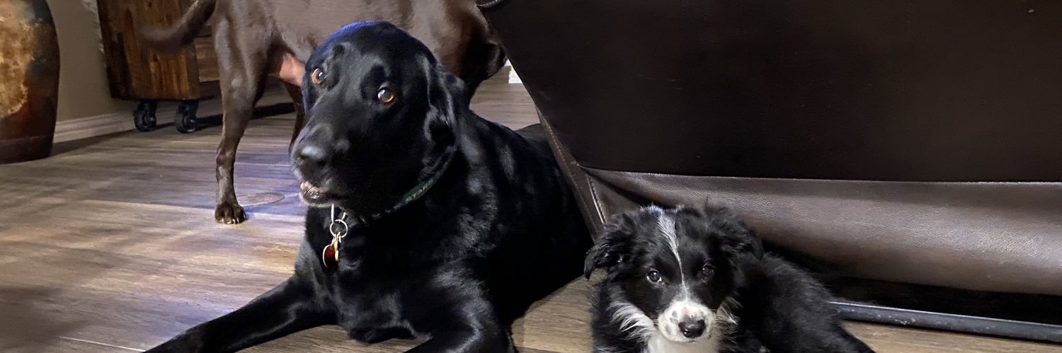 haleyblk's profile banner image
