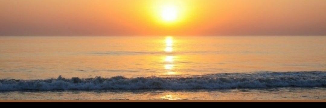 Mònica ||*|| banner