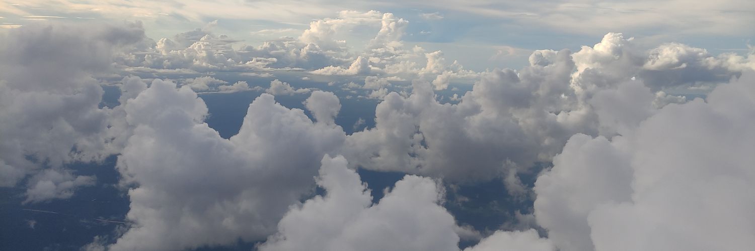 QuimeraEstupida's profile banner image
