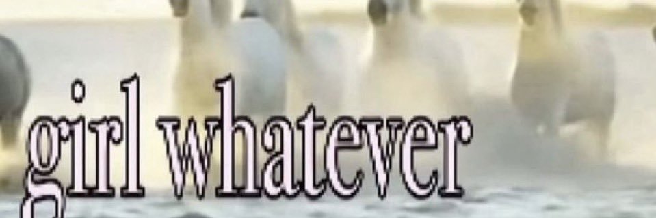 iwa's banner