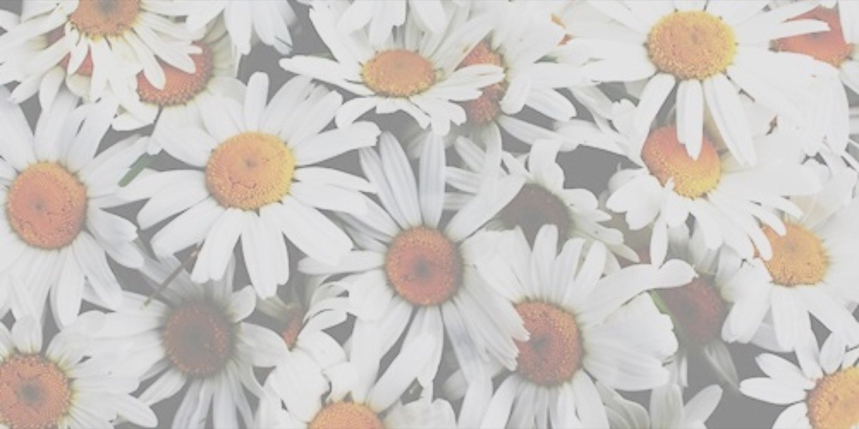 CamilaForeroo's profile banner image