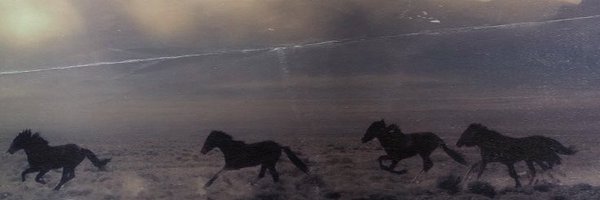 dereksdanforth Profile Banner