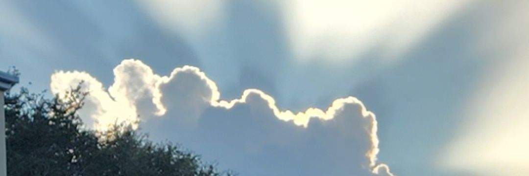 Dicenzo Stronzate banner