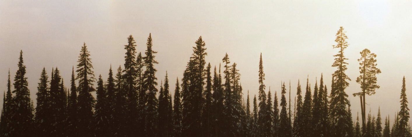 _aleshataylor's profile banner image