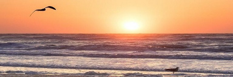 tammydlancaster's profile banner image