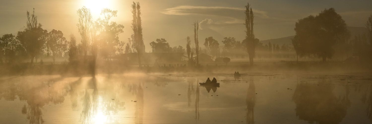 Aranza Bustamante banner