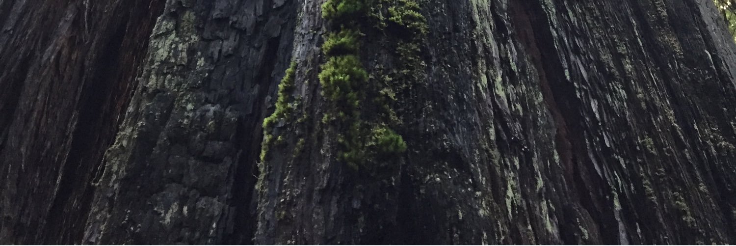 NickProzzo's profile banner image