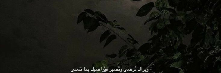 Ol banner
