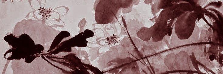 NADINE ANNORA. banner