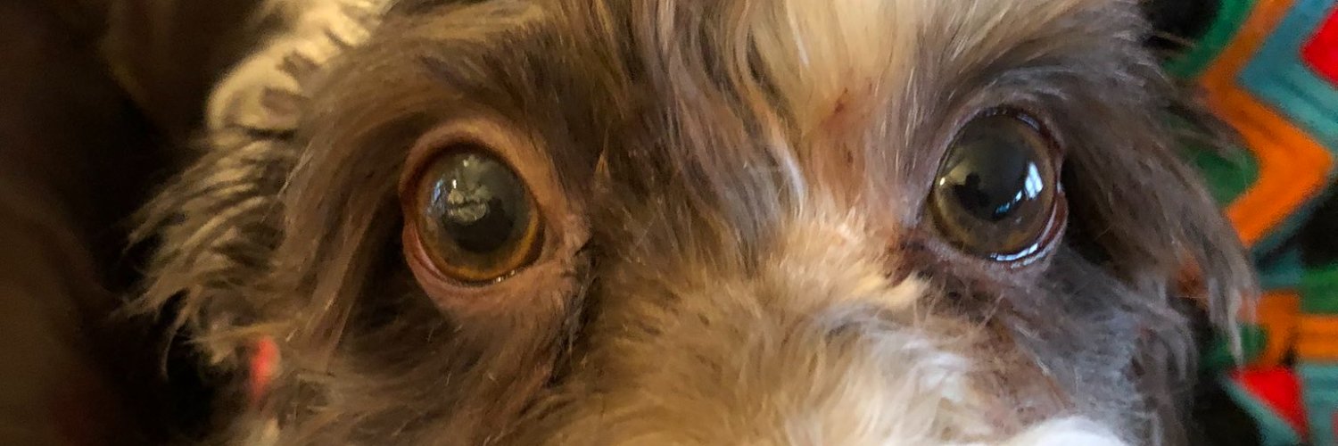 CourtBateman's profile banner image