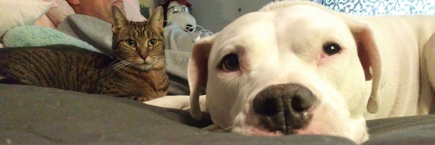 TheRealJen24's profile banner image