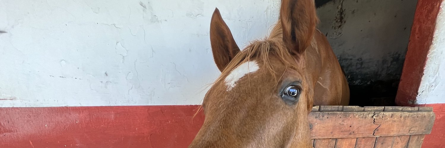 Georgiabdb's profile banner image