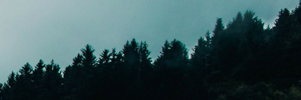 dbahena91's profile banner image