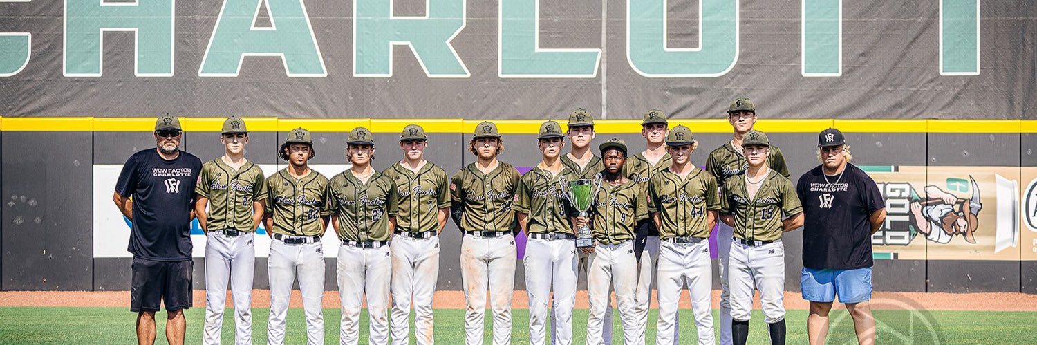 Briggs Lessmeister banner