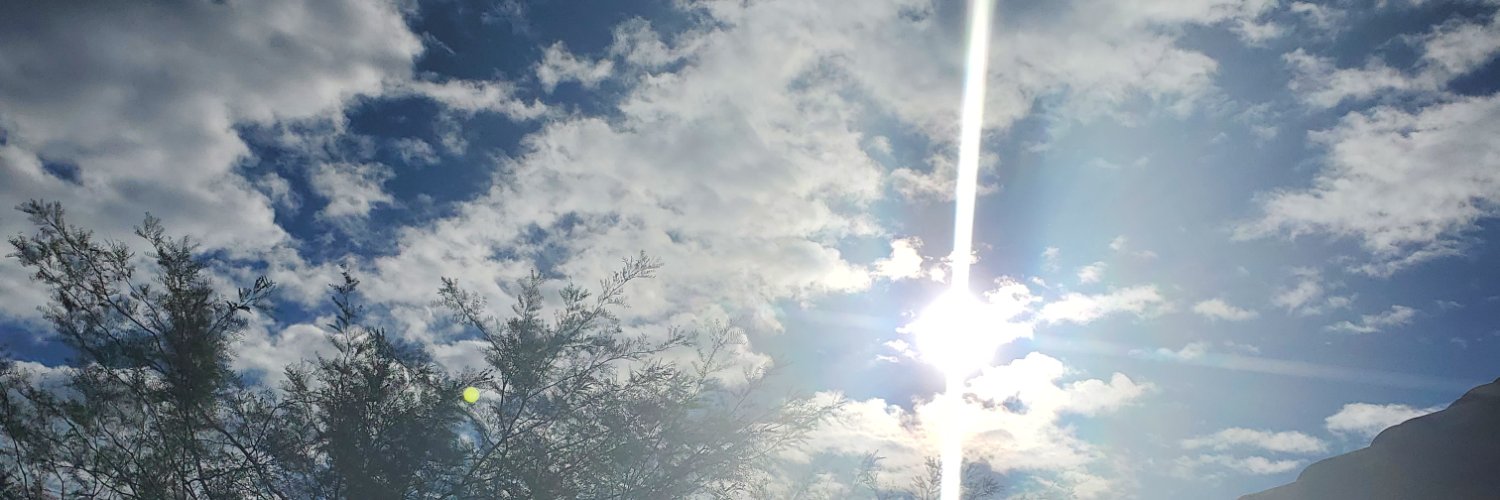 Marsha 🇺🇸 banner