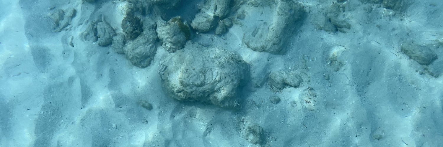 Daniela Inés 💚 banner