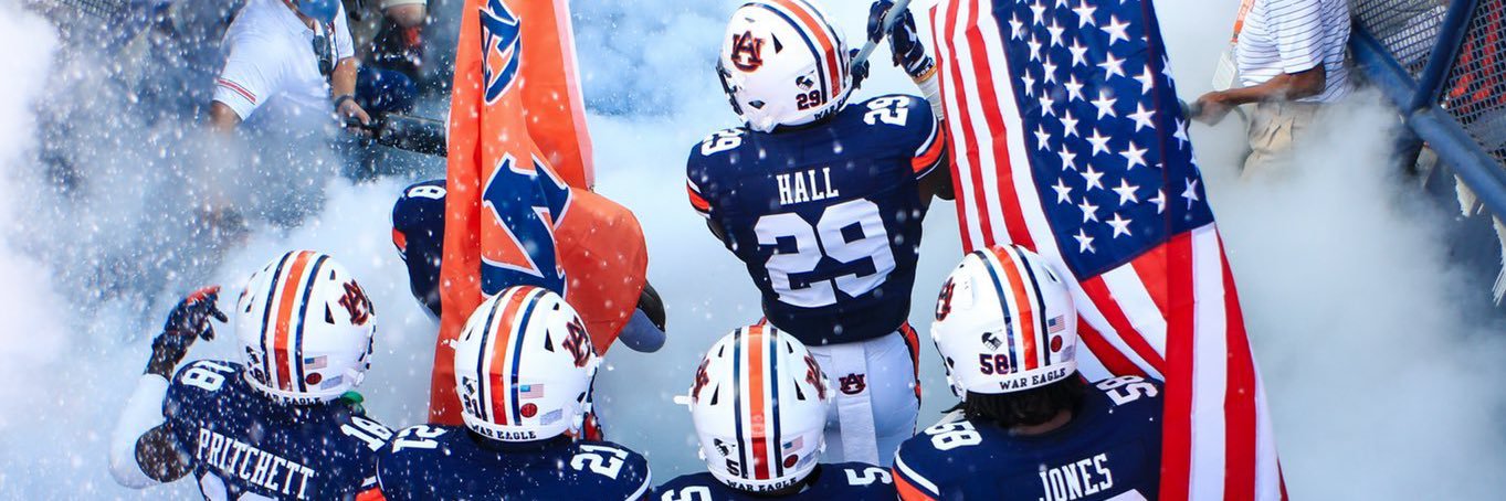 Fly War Eagle banner