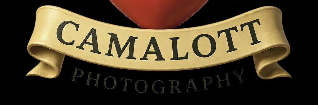 camalottllc's profile banner image