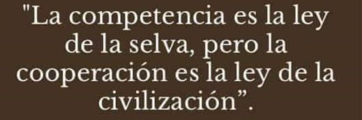 Terra Presta 🍉 banner