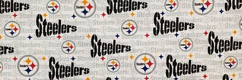 Touchdown Steelers banner