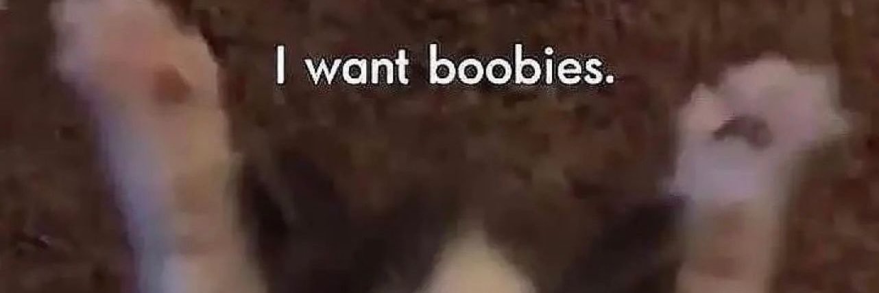 TinkerBell 🧚🏽‍♀️💕 banner