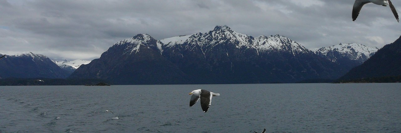 Daniel Marcuzzi banner