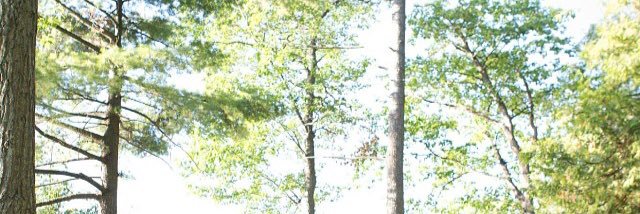 Freedman_Bianca's profile banner image