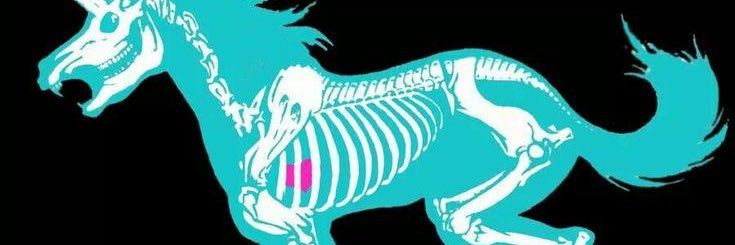 caonisimadegun's profile banner image