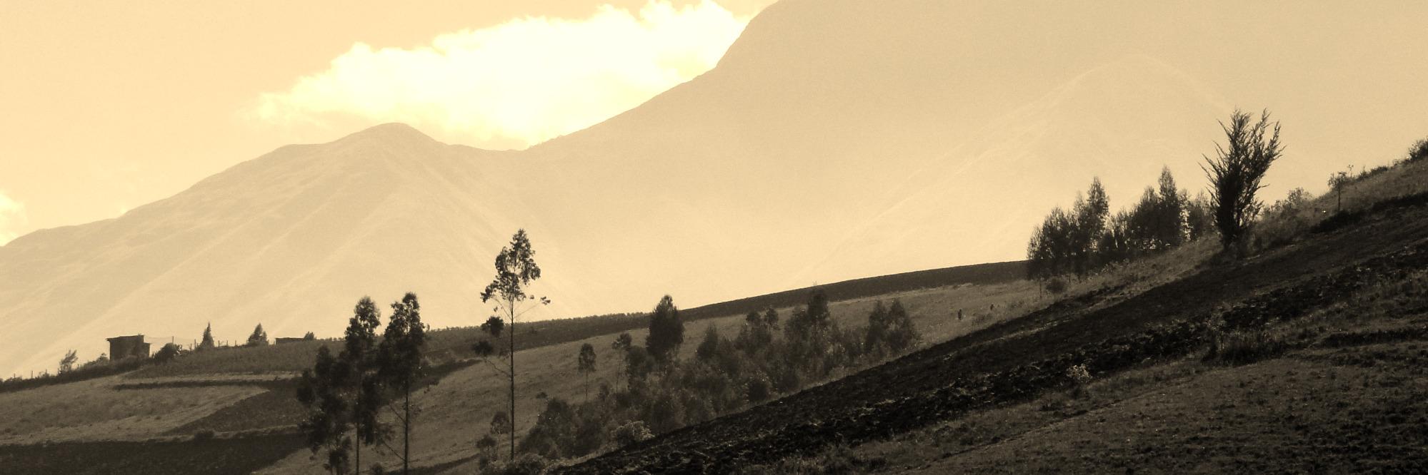Ivanovgc's profile banner image