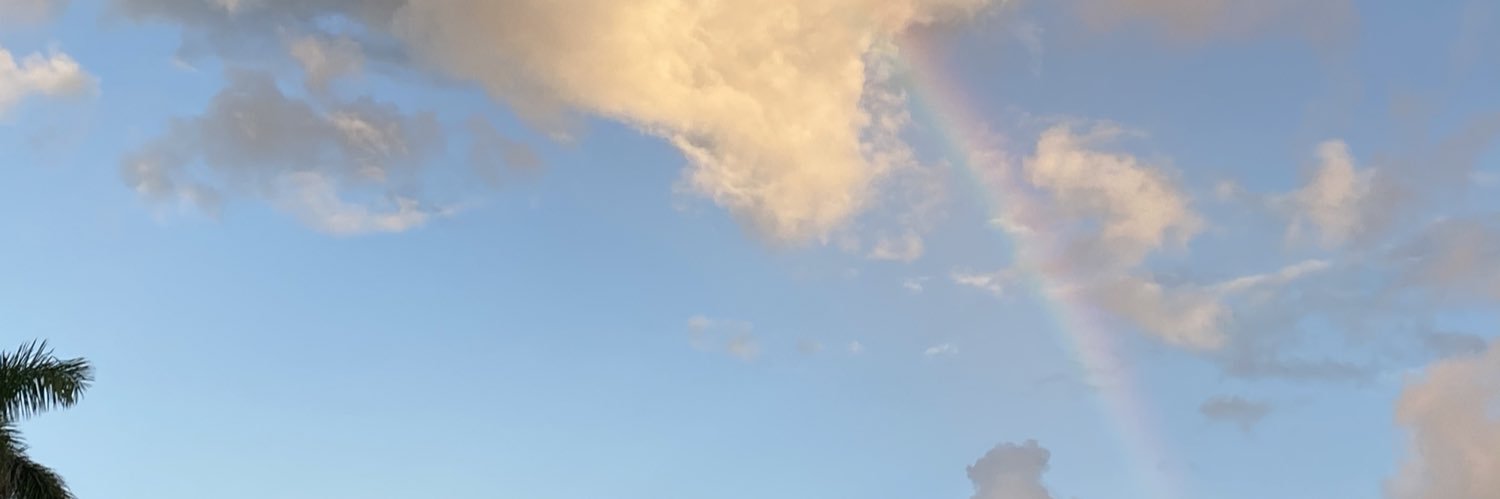 Karina Ramírez 🇪🇨🌎 banner