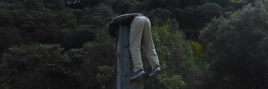 アオ🕊️💍 banner