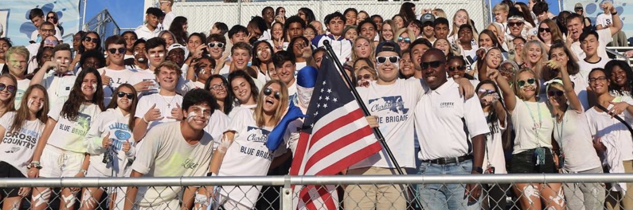 Blue Brigade banner