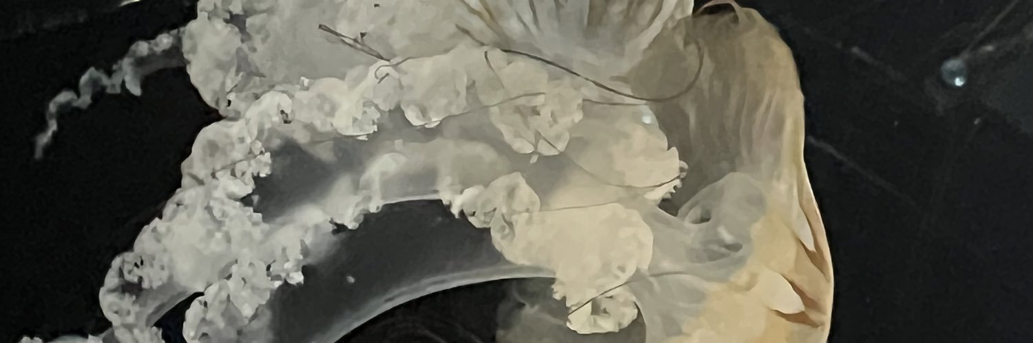 sunoi_chan's profile banner image