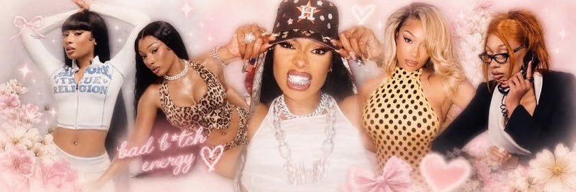 Stallion Stan❤️ banner
