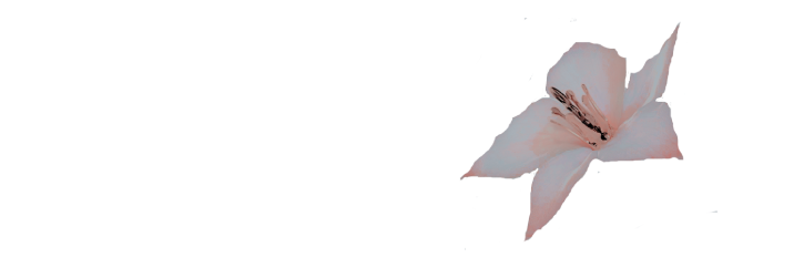 _SXLENTSCREAM's profile banner image