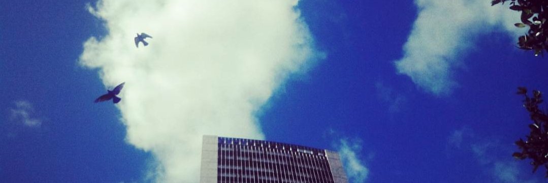 crisisa6's profile banner image