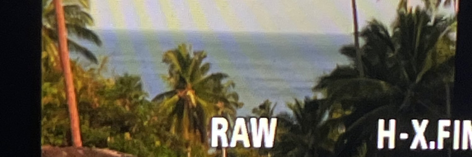 literallyposted's profile banner image