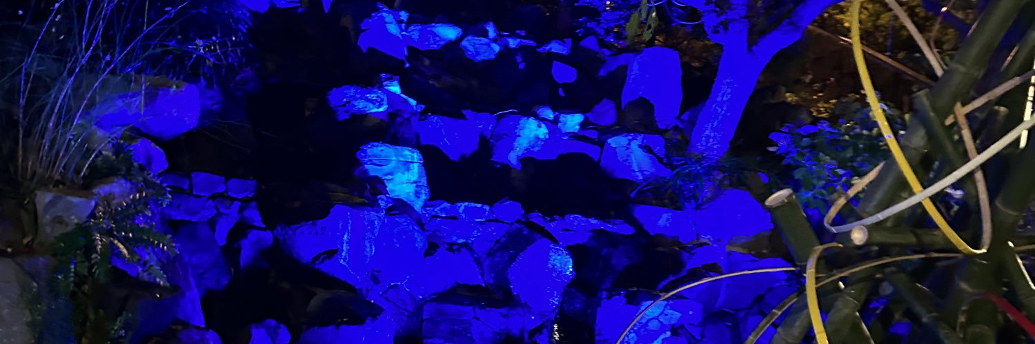 Coromamena's profile banner image