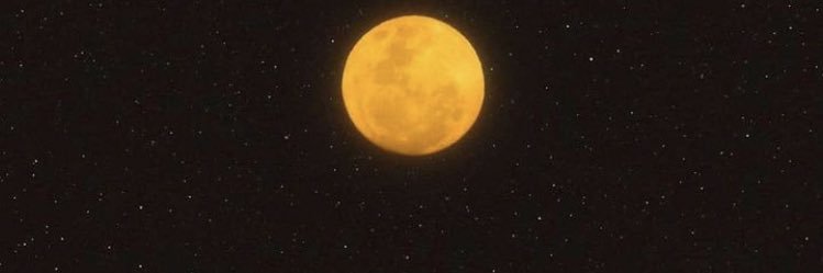 hoodaunty's profile banner image