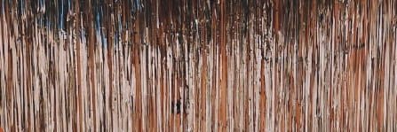 Dani Lage banner