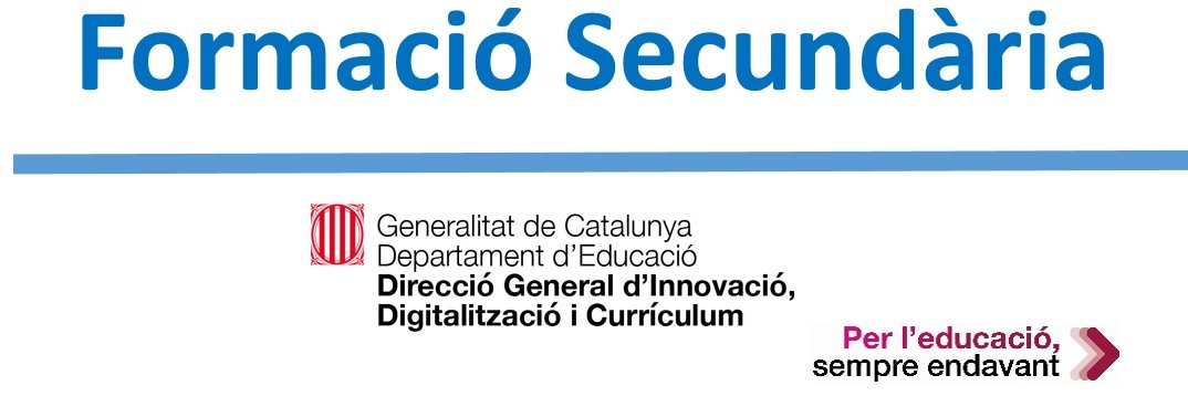 Formació Currículum Secundària banner