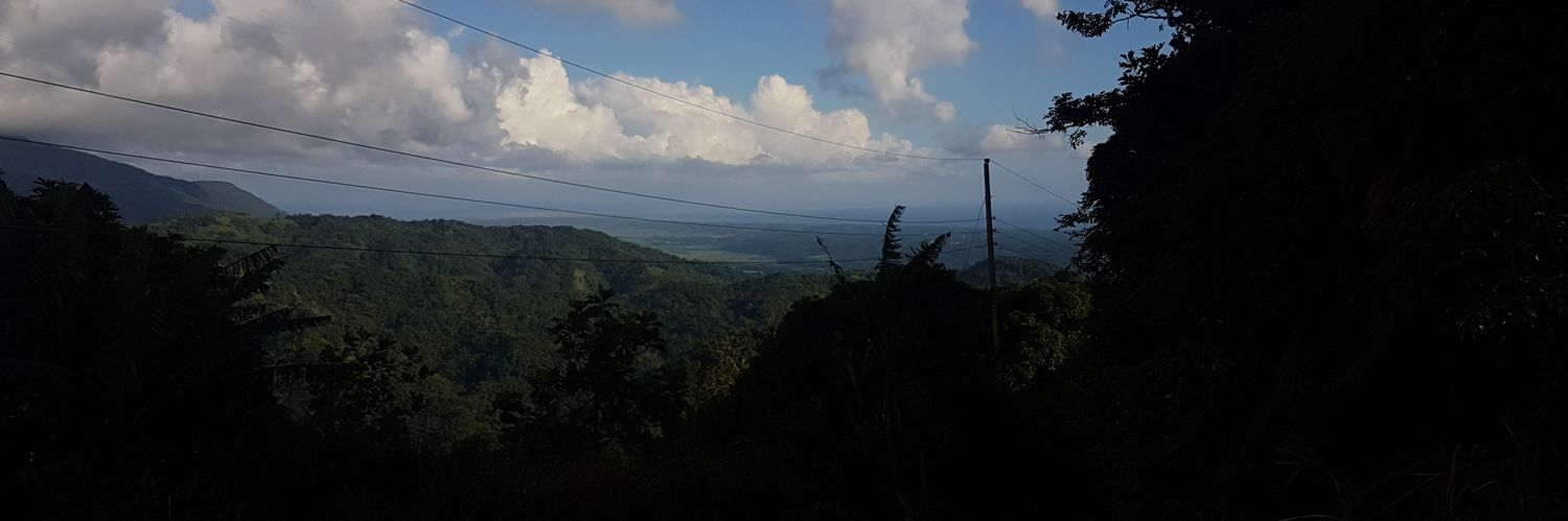ojadebis's profile banner image