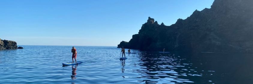 caoimhe connolly banner