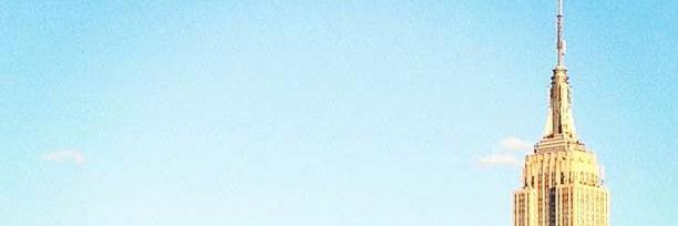 YukonFox's profile banner image