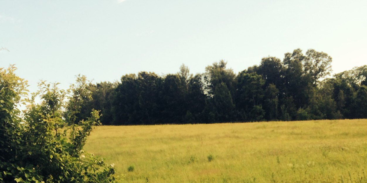 EMae82's profile banner image
