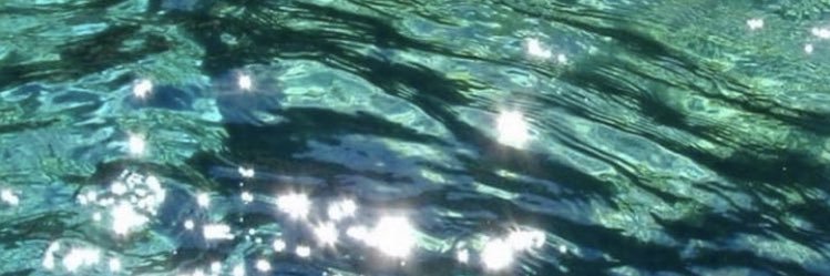 flo banner