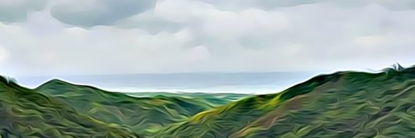 tsuppzz banner