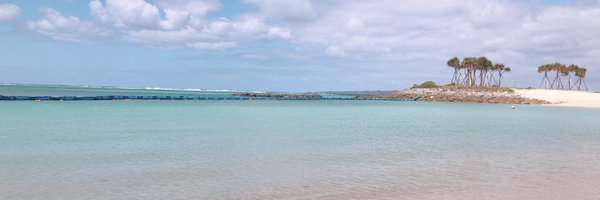 misosoup1215 Profile Banner