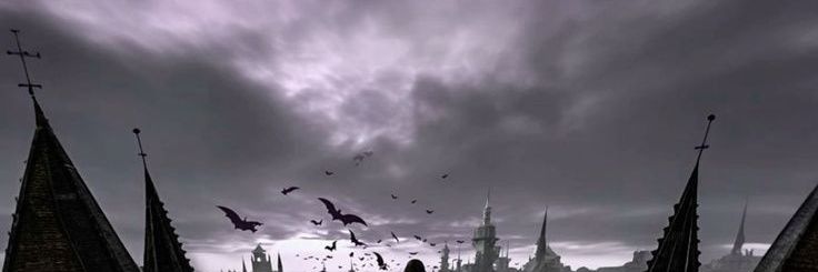 Leto banner